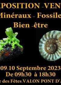 Fiera dei minerali, dei fossili, dei gioielli d'autore e del benessere.