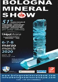 51 ° salone minerario di Bologna 2020