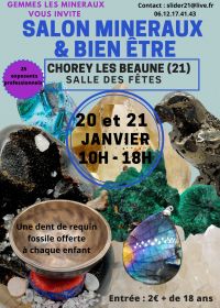 Minerali, fossili, meteoriti e spettacolo di benessere