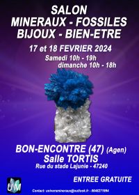 Fiera dei minerali, dei fossili, dei gioielli d'autore e del benessere.