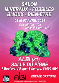 Fiera dei minerali, dei fossili, dei gioielli d'autore e del benessere.