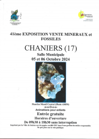 Mostra-vendita scambio di minerali e fossili