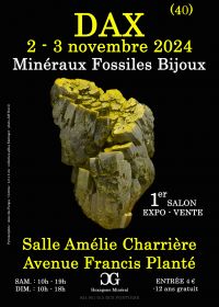 1a MOSTRA DEI MINERALI FOSSILI DELLA GIOIELLERIA DAX