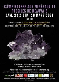 13 ° scambio di minerali e fossili