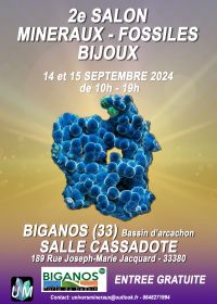 Spettacolo di minerali, fossili e gioielli firmati