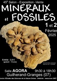 45° Scambio di minerali e fossili di Guilherand-Granges
