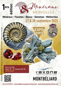 Fiera dei minerali e delle meraviglie