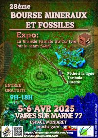 28° scambio di minerali e fossili