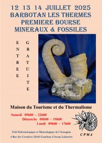 1a MOSTRA MINERALI E FOSSILI