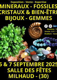 Fiera dei minerali, fossili, cristalli e gioielli e gemme per il benessere a Nîmes
