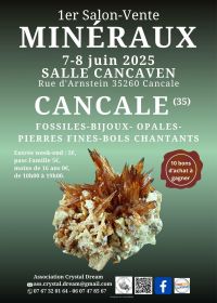 1a edizione della fiera di vendita di minerali, fossili e gioielli