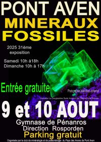 Esposizione, vendita e scambio di minerali e fossili