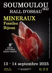 8° Mostra autunnale di minerali, fossili e gioielli