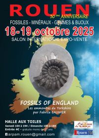 30a edizione della Mostra Internazionale di Fossili, Minerali e Preistoria di Rouen