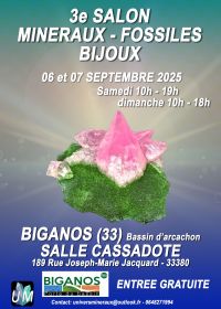 Mostra di minerali, fossili e gioielli di design.