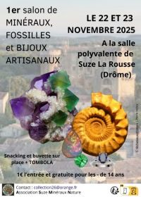 Scambio di minerali, fossili e gioielli artigianali