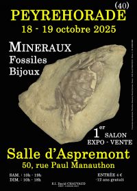 1° MOSTRA DI GIOIELLI MINERALI FOSSILI