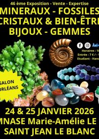 46a Fiera dei Minerali, Fossili e Gemme