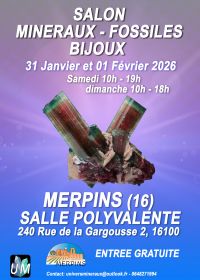 Mostra di minerali, fossili e gioielli firmati.