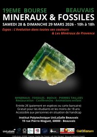 Scambio di minerali e fossili