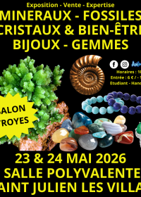 2a Fiera dei Minerali e dei Fossili di Troyes