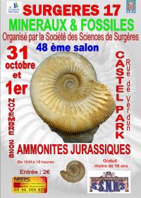 48ª Mostra Internazionale di Minerali e Fossili