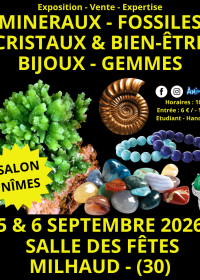 Mostra di minerali, fossili e cristalli