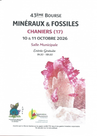 Minerali e fossili in vendita ed esposizione