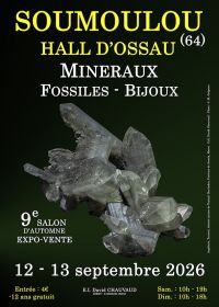 9ª Mostra di Minerali, Fossili e Gioielli