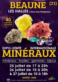 Fiera dei minerali e dei fossili