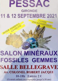 Fiera dei minerali fossili delle pietre preziose