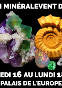 20° Evento Minéral Mentone - Minerali, fossili, gemme, gioielli, cristalli e benessere