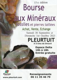 15° Borsa di Minerali e Fossili - Pleurtuit presso Dinard (35)