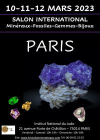 Fiera di Minerali, Fossili, Pietre Preziose, Paris Institut du Judo