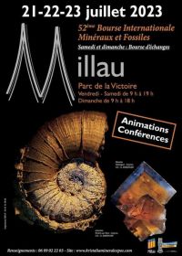 Fiera Internazionale di Minerali, Fossili, Gemme e Gioielli di Millau (12)