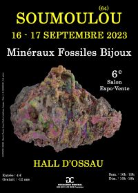 6a Fiera dei minerali fossili di gioielli autunnali di Soumoulou