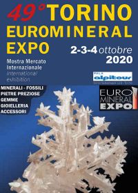 49 ° Expo Euro Minerale di Torino