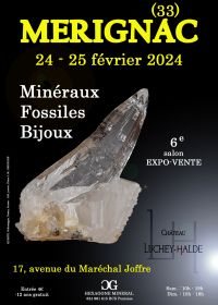 6° Salone minerali fossili gioielli