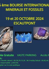26° Mostra Internazionale dei Minerali e dei Fossili