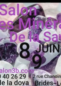 Fiera dei minerali della Savoia a Brides-les-Bains