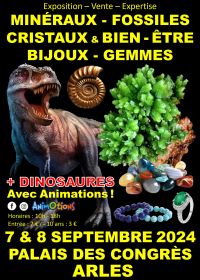 Minerali Fossili Cristalli & Mostra Benessere Gioielli e Gemme + Mostra Dinosauri