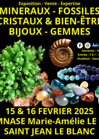 45° Mostra Minerali Fossili Cristalli & Benessere Gioielli e Gemme