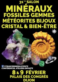 31° Salone MineraleEvento Digione