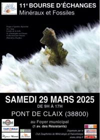 Scambio di minerali e fossili