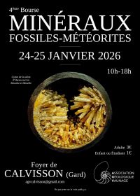 4a Fiera dei minerali, dei fossili e dei meteoriti 4a Fiera dei minerali, dei fossili e dei meteoriti