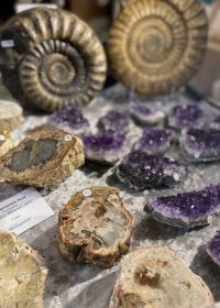 Belle pietre e minerali 2025
