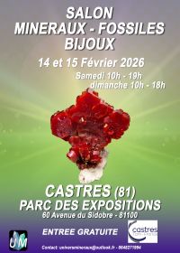 Mostra di minerali, fossili e gioielli firmati.