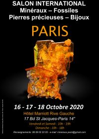 Fiera internazionale dei gioielli in pietre preziose minerali fossili di Parigi