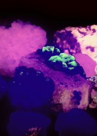 Minerali fluorescenti: quando le pietre brillano al buio Different fluorescent minerals Minerali fluorescenti: quando le pietre brillano al buio Different fluorescent minerals