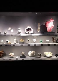 Galleria di Geologia e Mineralogia del Jardin des Plantes di Parigi Museum national histoire naturelle Galleria di Geologia e Mineralogia del Jardin des Plantes di Parigi Museum national histoire naturelle